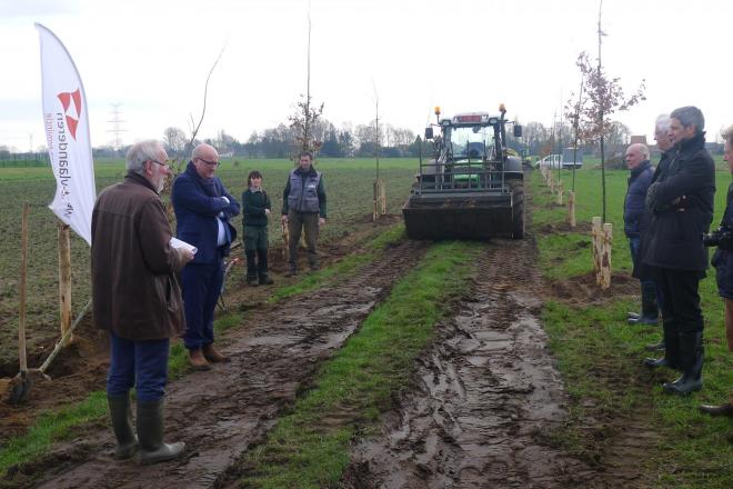 Aanplanting 190 zomereiken