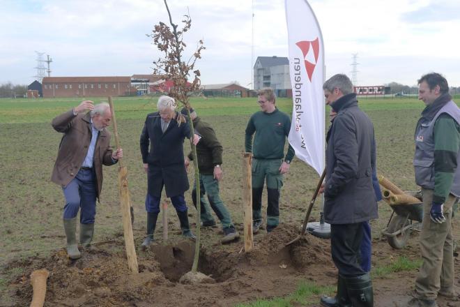 Aanplanting 190 zomereiken