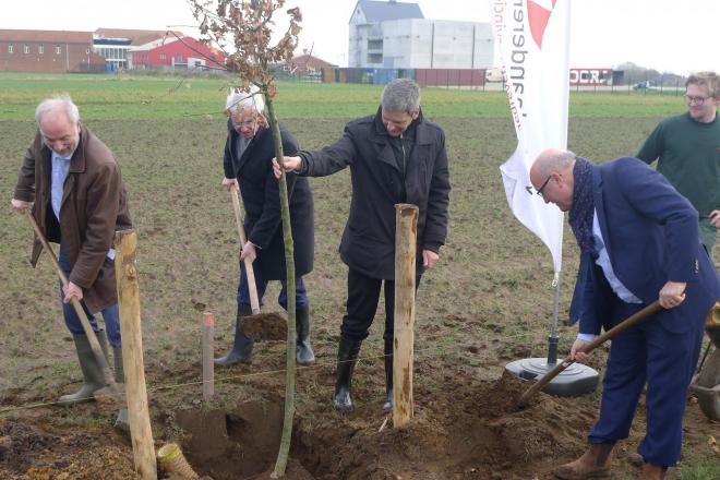 Aanplanting 190 zomereiken