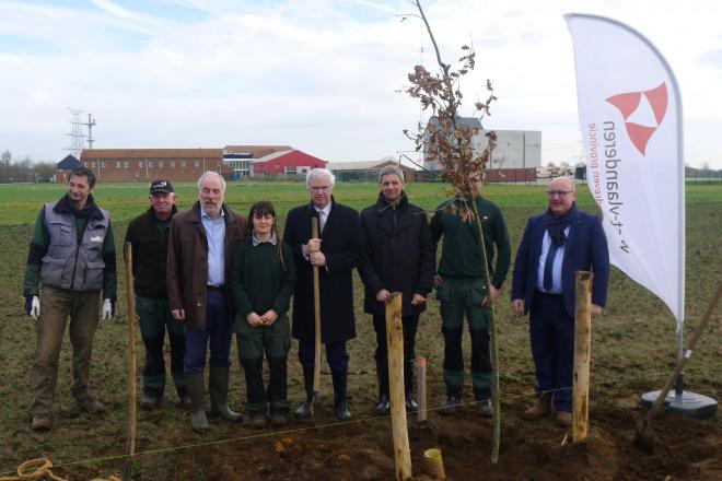 Aanplanting 190 zomereiken