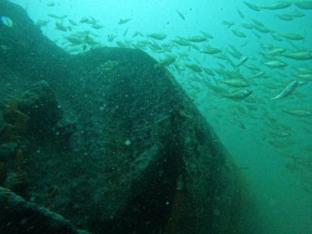 Ballasttank stuurboord (Tomas Termote)
